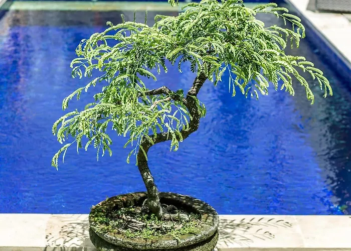 Masbro Art Seminyak (Bali)
